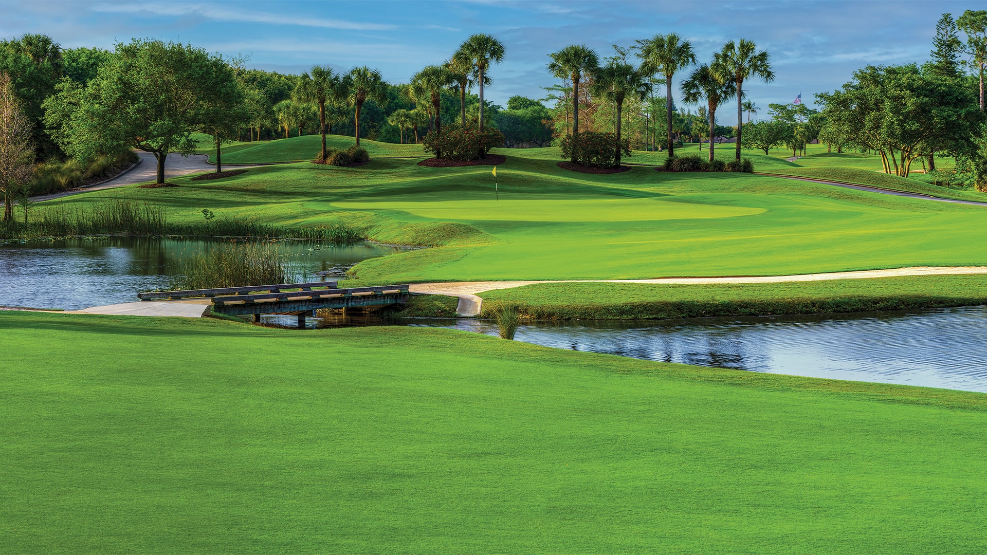 Golf – Arnold Palmer’s Palmer I - image